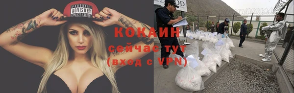 герыч Вязьма