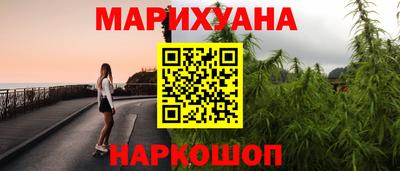 стаф Кингисепп