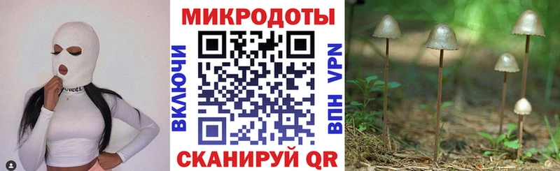 Купить закладки  Кызыл  Галлюциногенные грибы Cubensis 