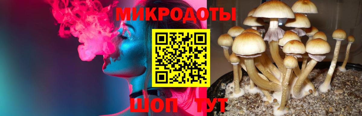 Галлюциногенные грибы MAGIC MUSHROOMS Кызыл